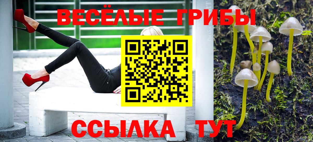 Галлюциногенные грибы мицелий  Вход с VPN  Галлюциногенные грибы ЛСД  Урай 